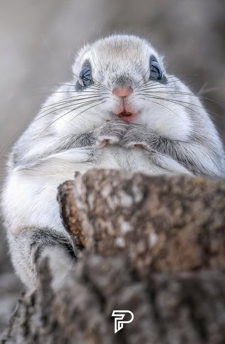 When I look at your photos 🥰 Come here my love