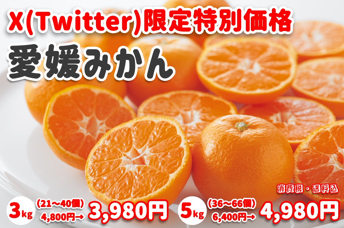 【X(Twitter)限定特別価格🍊】
近年みかんが高くて心苦しく思っています。色々大変なので察してください。お詫びと言ってはなんですが、X用に値下げをもぎ取ってきました。初めての方は会員登録時の500ポイントをそのまま500円引きとしてご利用いただけます。秘密の入り口はツリーに↓