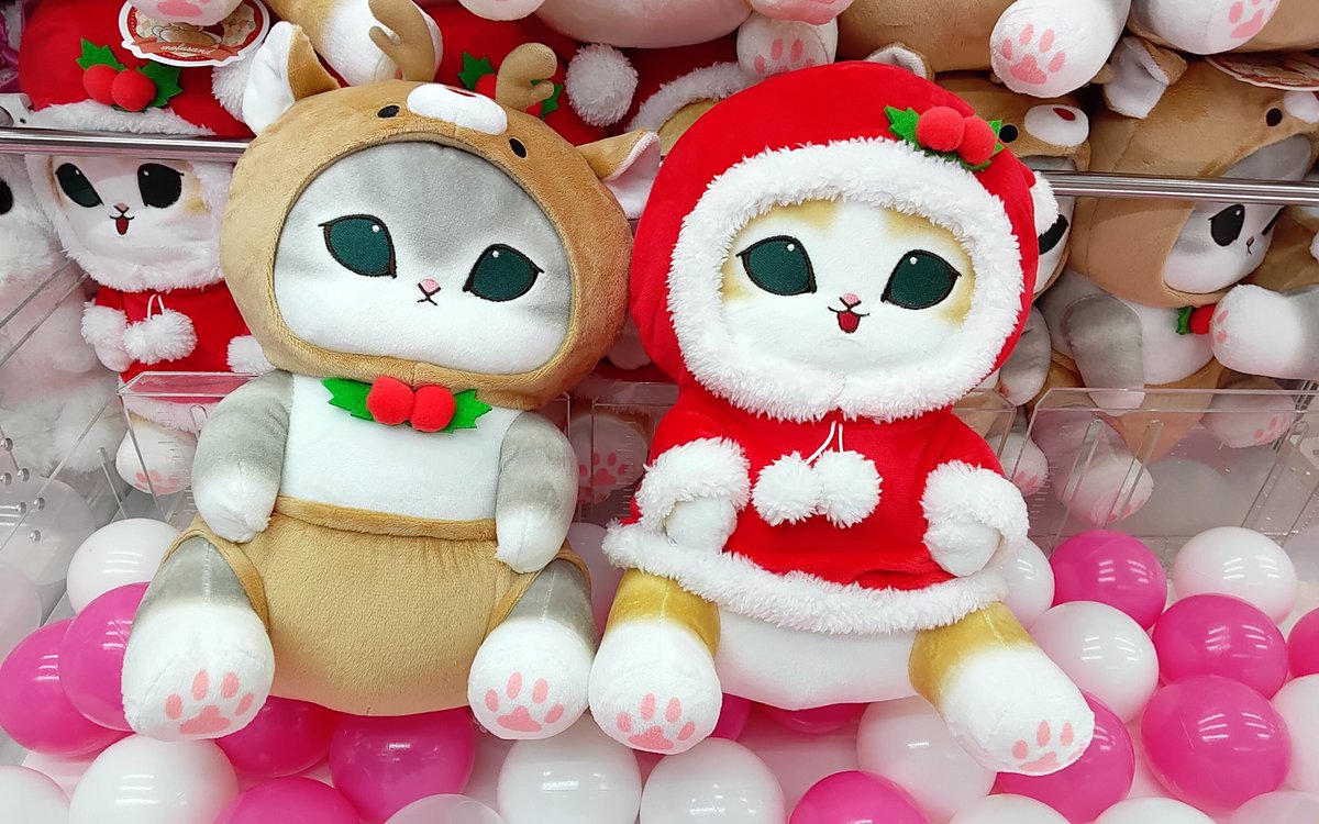 プライズ】本日新入荷！ 『mofusandクリスマスにゃんBIGぬいぐるみ』全