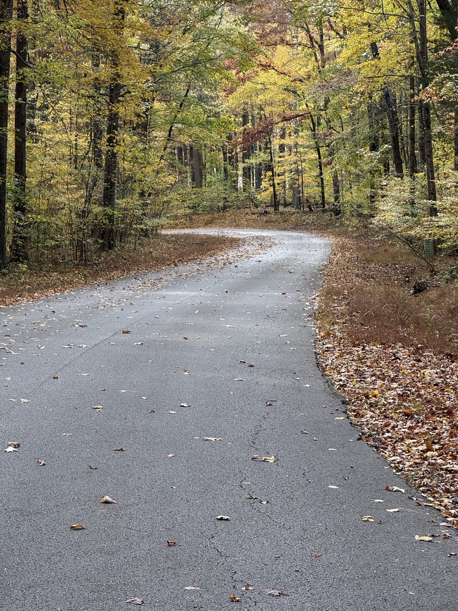 TomeTomstac's tweet image. Nature is Beautiful!