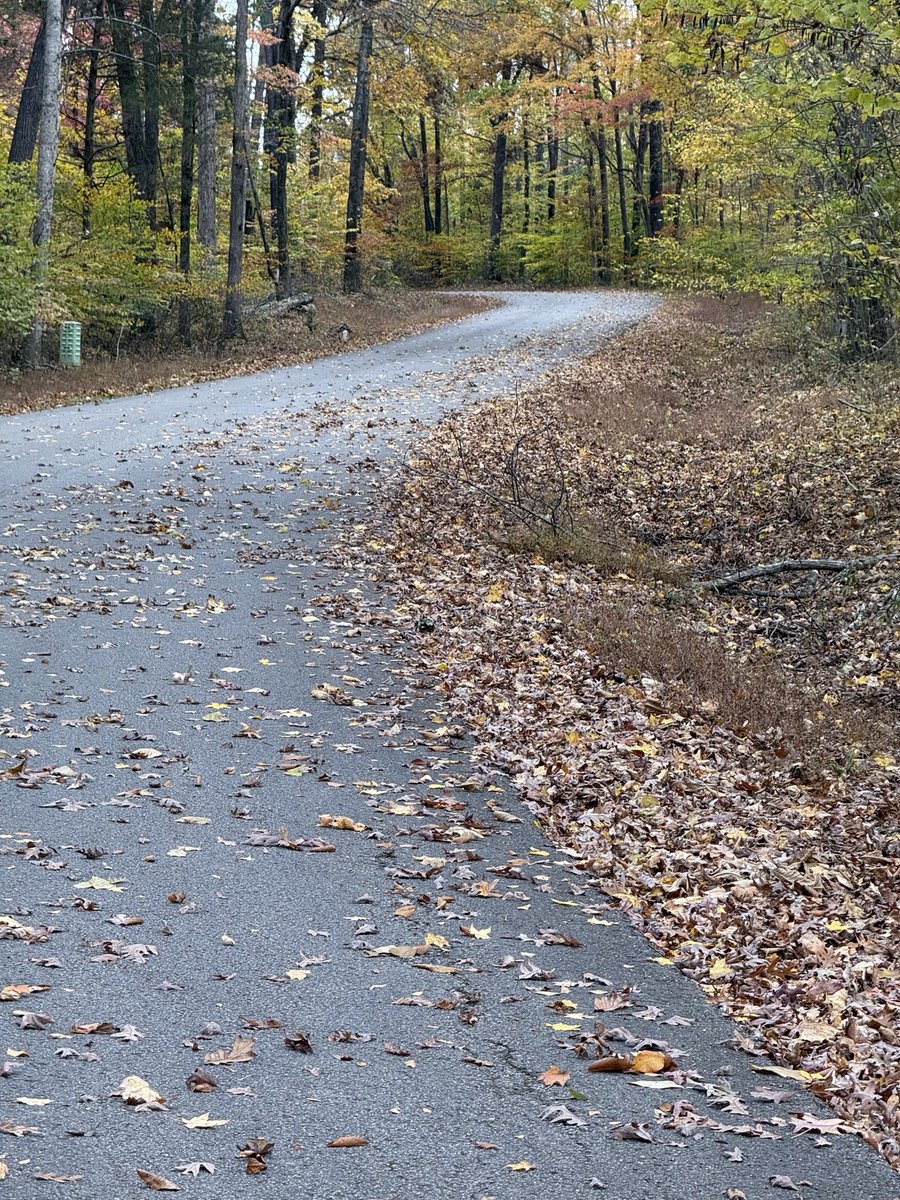 TomeTomstac's tweet image. Nature is Beautiful!