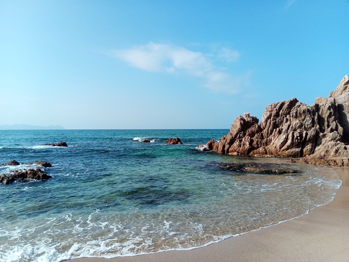 にりかわ tweet media