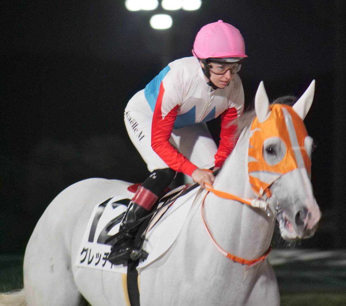 2025.11.13 大井競馬12Rぎょしゃ座特別

12頭中４頭が芦毛🐴

コスモギンガ＆山林堂Ｊ
マイネルイージス＆達城Ｊ
レアリゼアンレーヴ＆遠藤Ｊ
グレッチャー＆ミシェルＪ