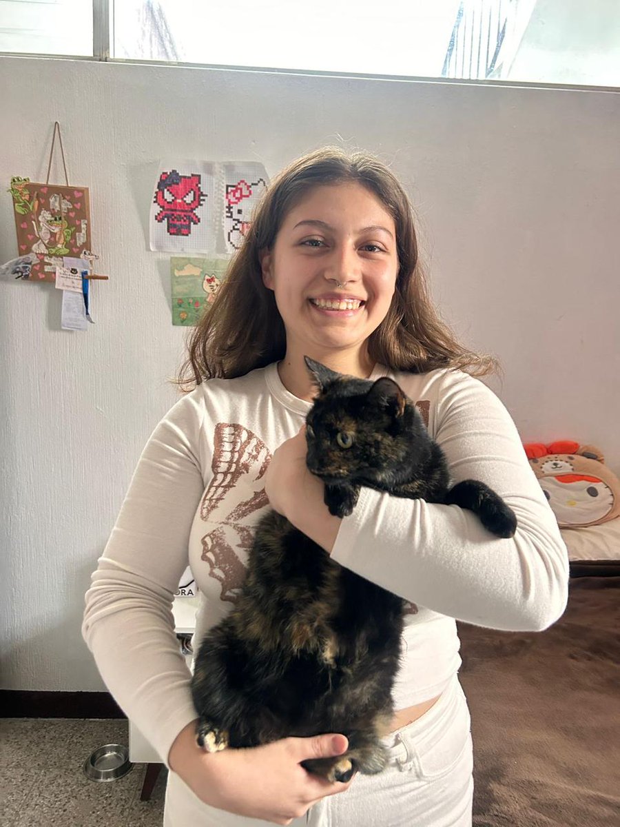 guatexanimales2's tweet image. Gracias a Isabela por adoptar a Jaspe 🐱 ya esterilizada y totalmente recuperada y feliz que al igual que sus hermanos ya disfrutan de un buen hogar 🏠.
#adoptaungato 
#michis #Feliznavidad 🎄🎁