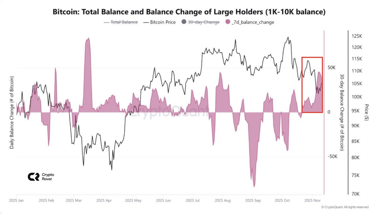 Whales are loading UP on Bitcoin during this dip!