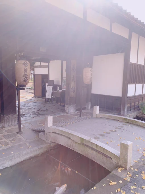 たぜに歩いて欲しい景色すぎる