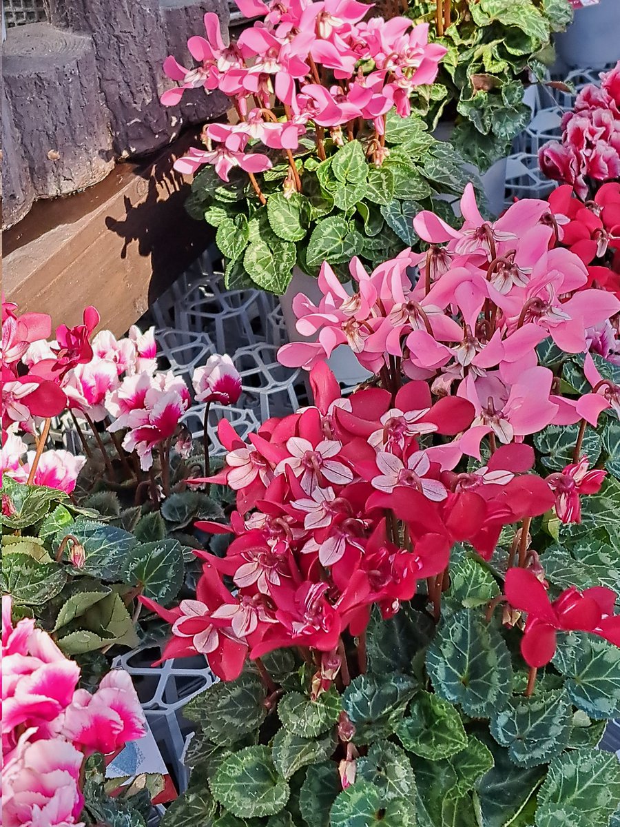 3年ほど前、よくお世話になったお客様から初のオーダーリングで