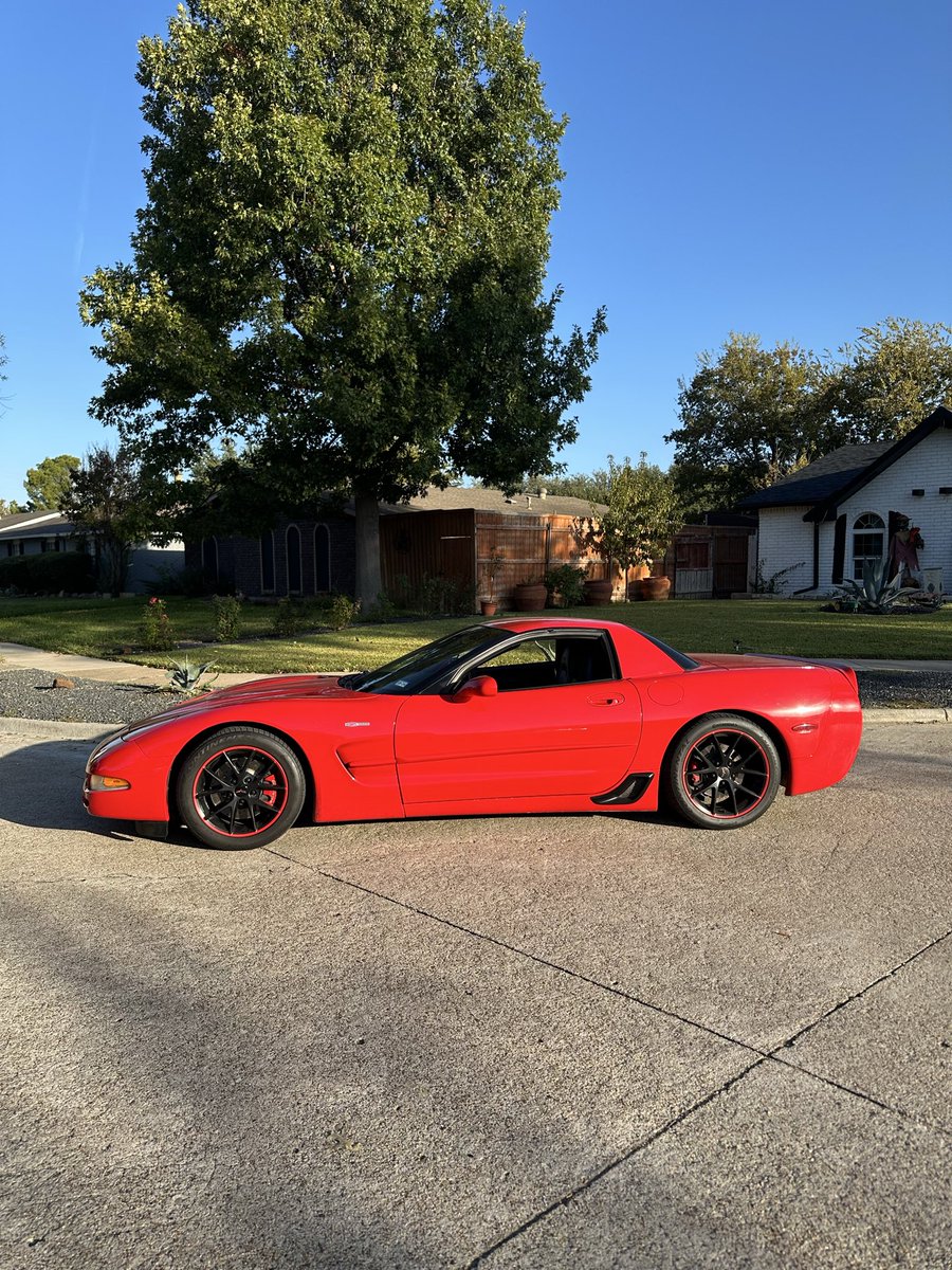 Decided to touch grass recently. It’s been real fun