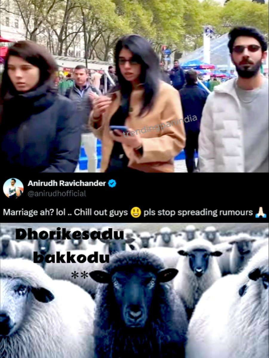 trendingpan10's tweet photo. BAKKODU DHORIKESADU BRUH KAVYA PAPA THO,🤣😆
@anirudhofficial 🤣
.
.
.
#anirudh #music #songs #boom #beach #trolls #northindia #hindimeme #memepage #memes #ipl #cricket #srh #anirudhravichander #indian #trendingnow #songs https://t.co/EV9d8xCWLj