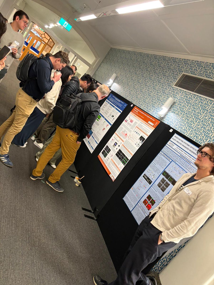 VictorianMuscleNetwork tweet media