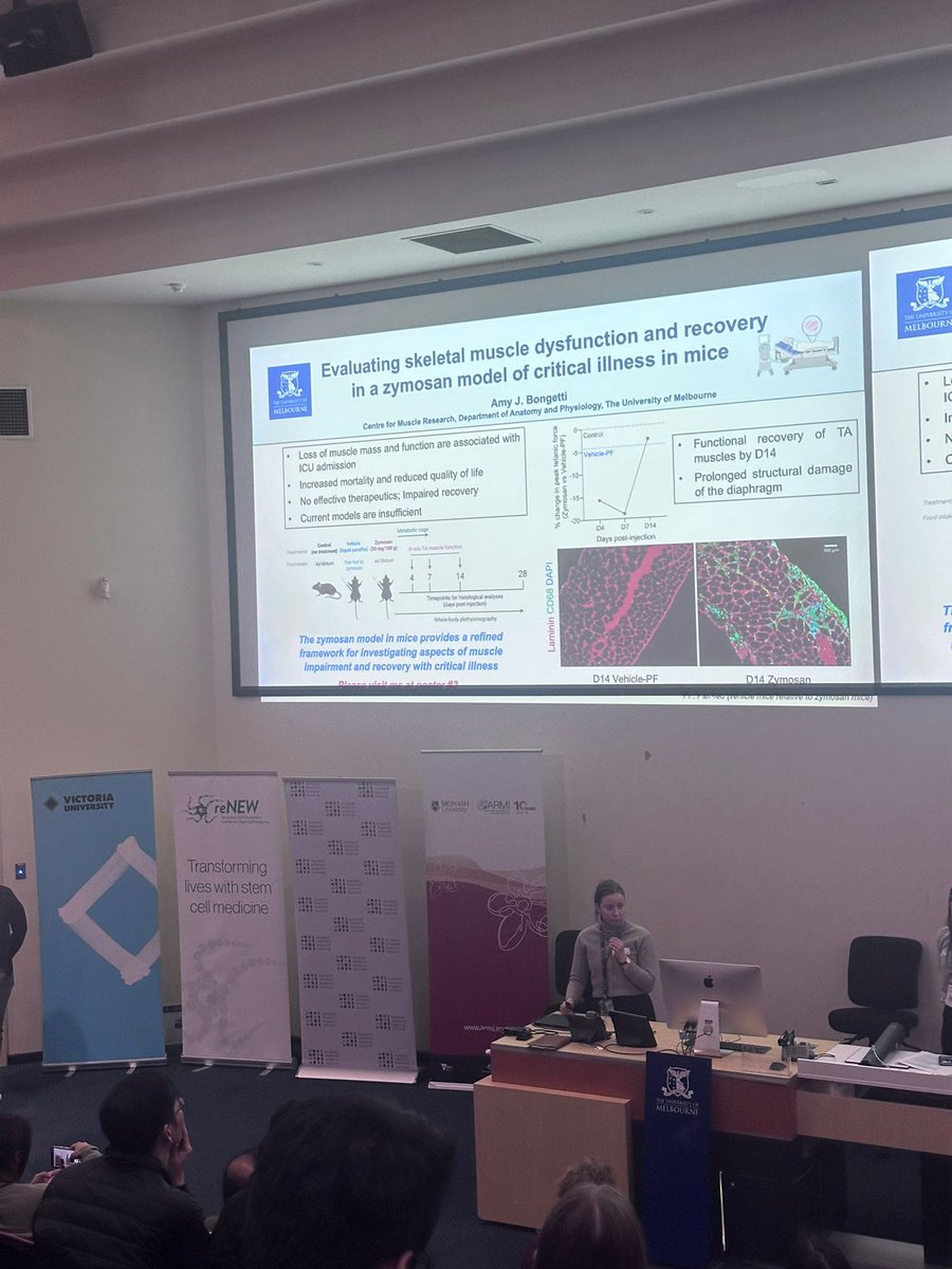 VictorianMuscleNetwork tweet media