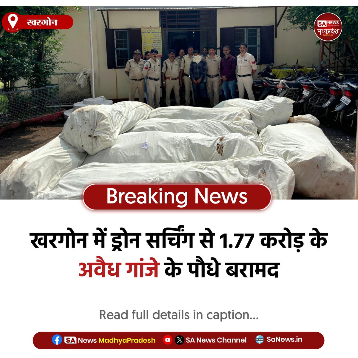 SAnewsMP's tweet photo. खरगोन l खरगोन में पुलिस ने ड्रोन सर्चिंग के जरिए 1.77 करोड़ रुपये मूल्य के अवैध गांजे के पौधे बरामद किए। ग्राम टांडावाड़ी में 1.5 एकड़ में उगाई गई फसल से 3,200 पौधे मिले। यह मप्र में अब तक की सबसे बड़ी कार्रवाई मानी जा रही है।

#Khargone #PoliceAction #DroneSearch #sanewsmp https://t.co/lJn7RNE0D2