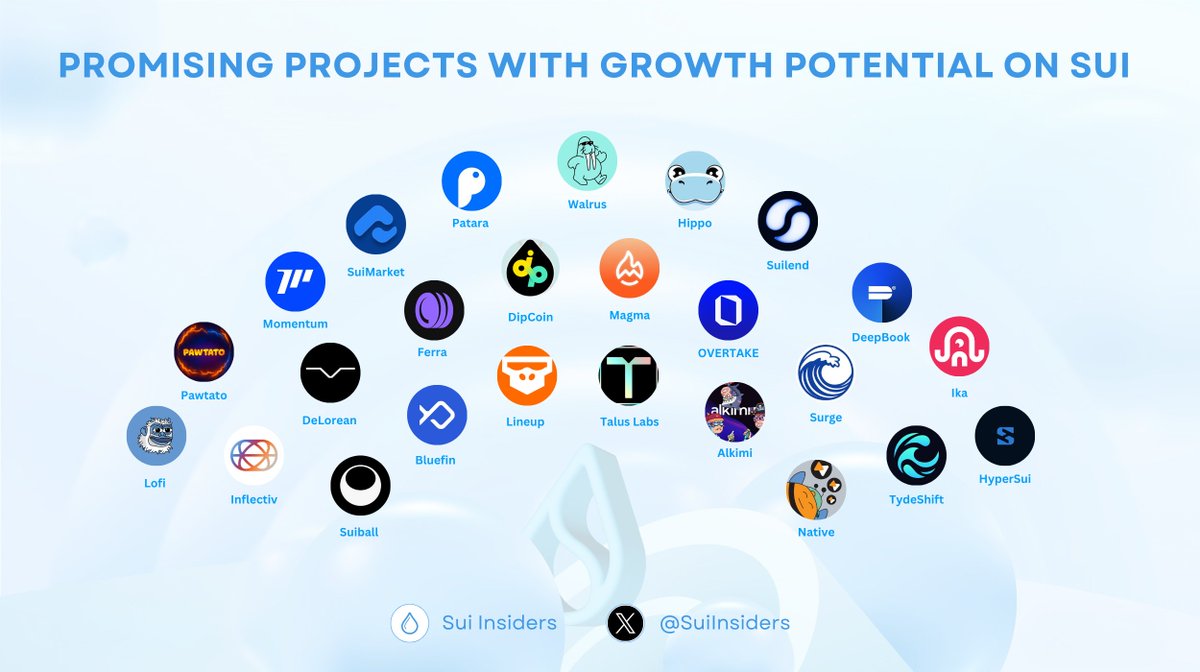 SuiInsiders's tweet image. PROMISING PROJECTS WITH GROWTH POTENTIAL ON SUI 🔥

Despite the pullback across the market, November is still shaping up to be a strong month for the $SUI ecosystem 🚀

Let’s take a look at the high-potential projects building on Sui 👇

#Sui #SuiNetwork #SUI