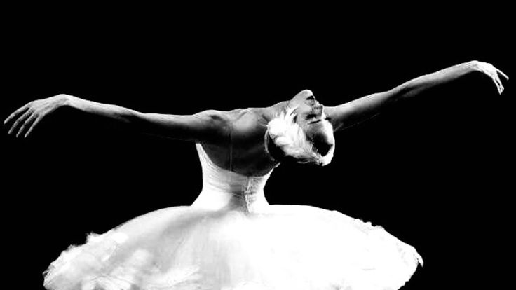 humoenmisojos's tweet image. ♰ຶ ⠀ㅤㅤ¡Busco mutis!    ,   no nueva en #edtwtᵋ  𝟑͟𝟐

୨୧ 2006 
୨୧ Judo y Ballet :⁠-⁠P
୨୧ #edtwt #subtwt #meanspo
୨୧ +30 dni
୨୧ watona contra watona 

੭୧ ♡ &amp;amp; rt = mutis