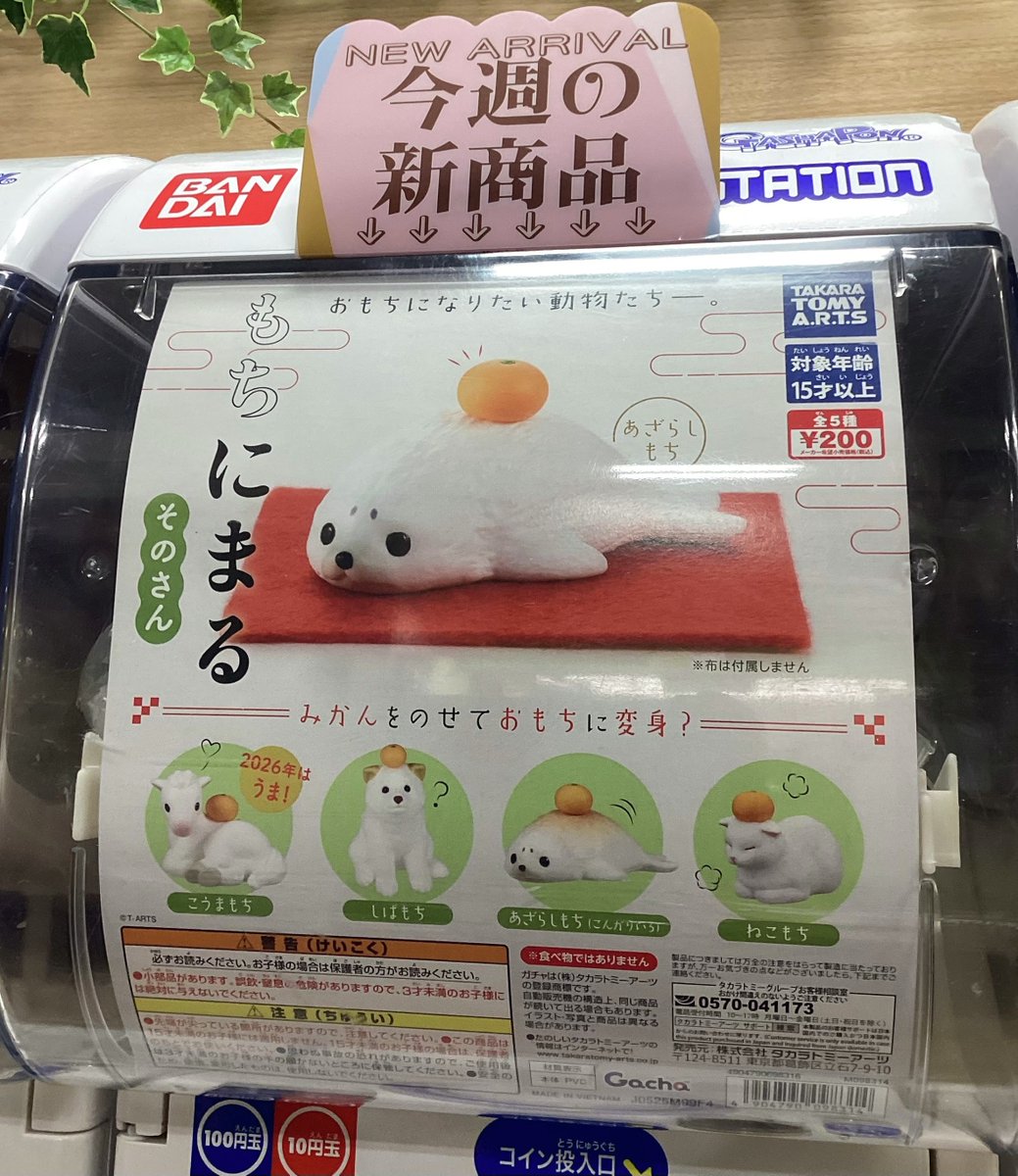 🎄ガシャココ エスパル郡山 入荷商品🪅 『案ずるペンギン』 全10種