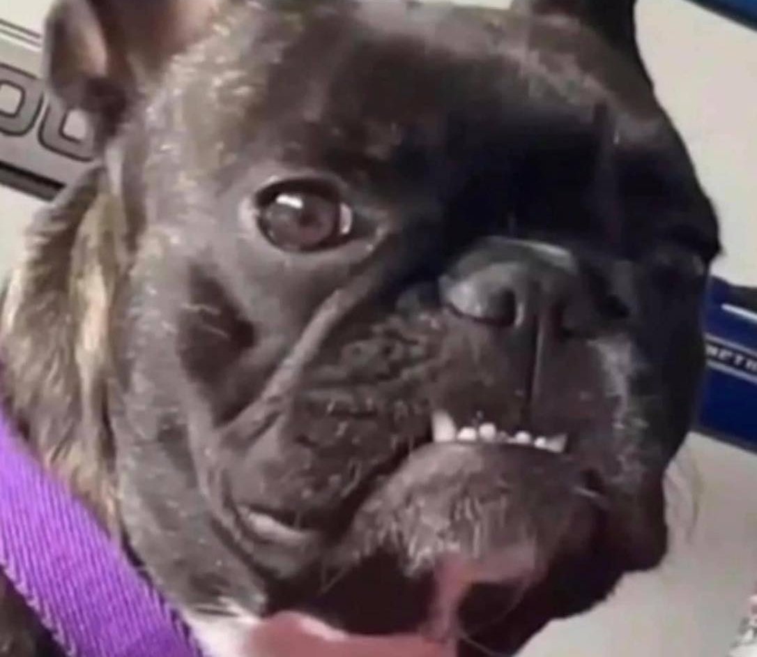 Creo que a los Latín Grammy's los organizo Ventura.