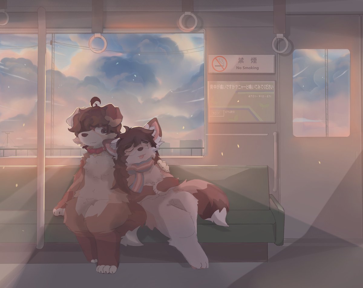 Westie 😸 tweet media