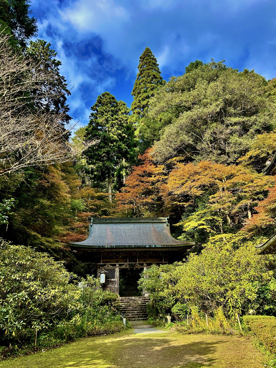 紅葉が見頃を迎えております。
酷暑と雨不足の影響を心配しておりましたが例年通り美しく色づいてくれてます。
見頃は12月初旬まで。
朝夕は気温が一桁台まで冷え込みます。
温かくしてご来山下さい。

合掌

#志明院 #京都 #紅葉 #静かな寺 #山寺