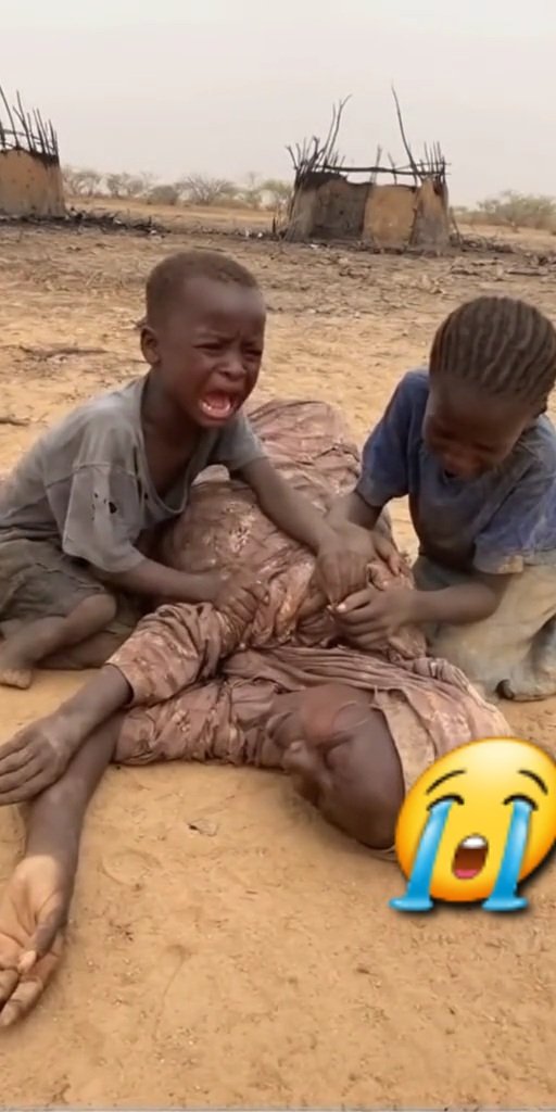 اور اگر یہ صورتحال کسی غیر مسلم ملک کی ہوتی تو انسانی حقوق کی علمبردار اقوام متحدہ اب تک منہ میں دہی جمائے بیٹھی نہ رہتی ۔
یا اللہ سوڈان کی مدد فرما،🤲