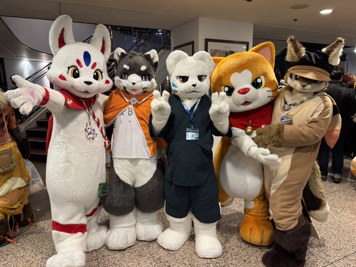 にゃん吉【公式】Nyankichi (@cat_nyankichi) / Posts / X