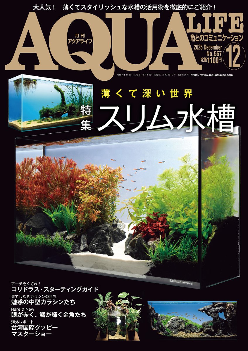 LIFE AQUA 2020年5月号・11月号