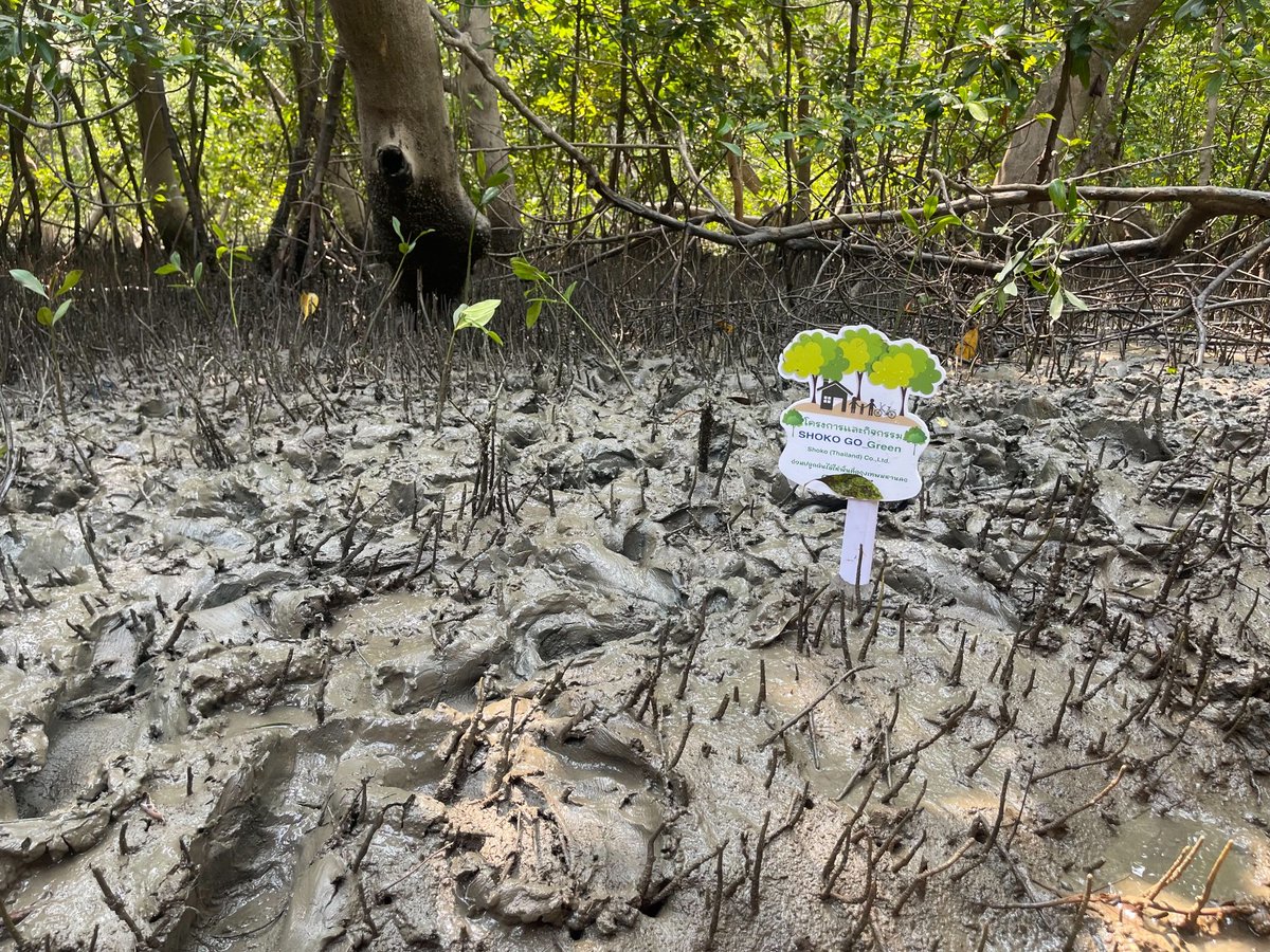 ＼12月は #地球温暖化防止月間／

気候変動への対応が求められるなか、昭光通商では素材の選定からCSR活動まで、サステナビリティの視点を取り入れた取り組みを進めています。

🌿 サステナビリティ素材の取り扱いを強化することで、お客様企業を含めたカーボンニュートラルに貢献。
🚛