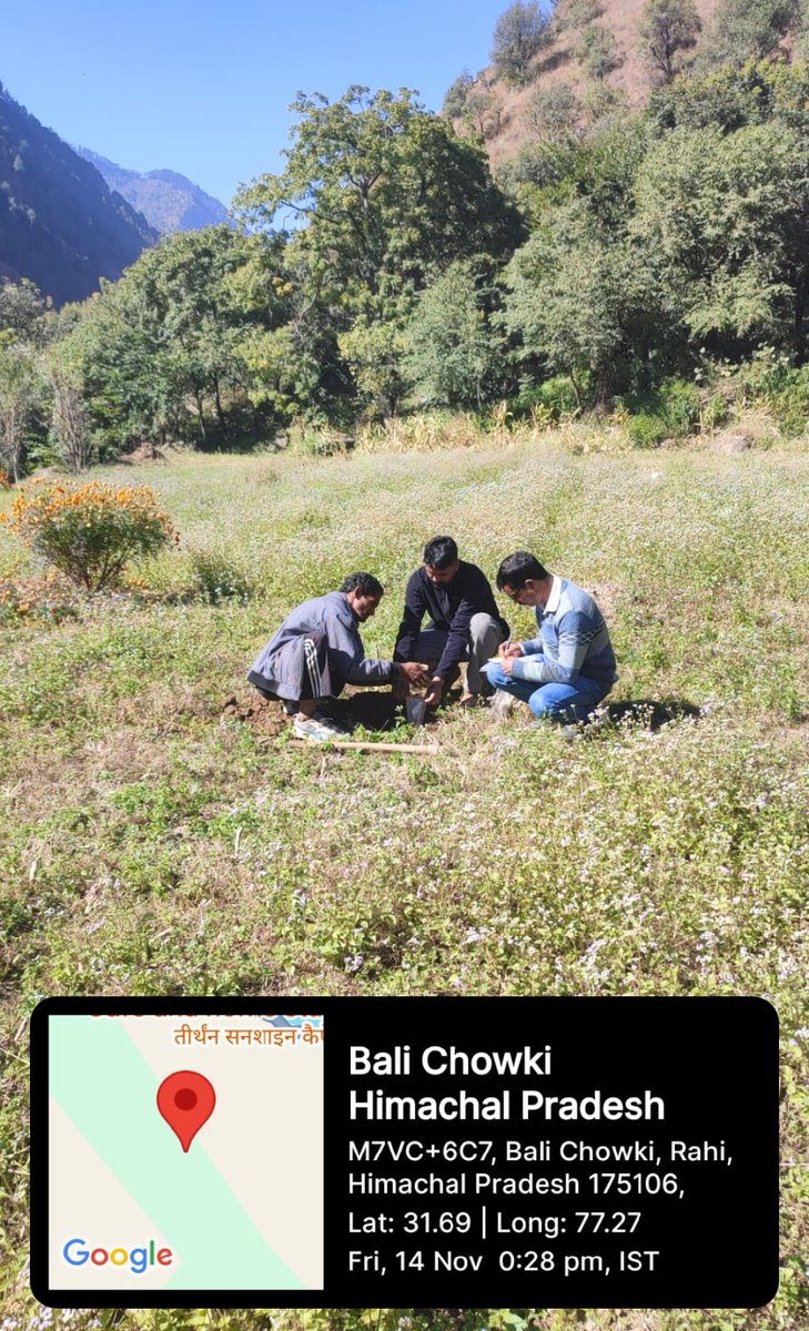 #Soil samples collected from selected farms in Banjar block for establishing #NaturalFarming #ModelFarms under the #NMNF . Initiative led by <a href="/kvkkullu/">KVK Kullu</a> to promote soil health and sustainable agriculture. 🌱 #NaturalFarming <a href="/icarindia/">Indian Council of Agricultural Research.</a> <a href="/HPAUbest/">CSK H.P.Agriculture University</a> <a href="/atari1icar/">ICAR-ATARI, Ludhiana</a> <a href="/beingvet21/">Surender Bansal</a> <a href="/ankaaj/">Ankaj Sharma</a>