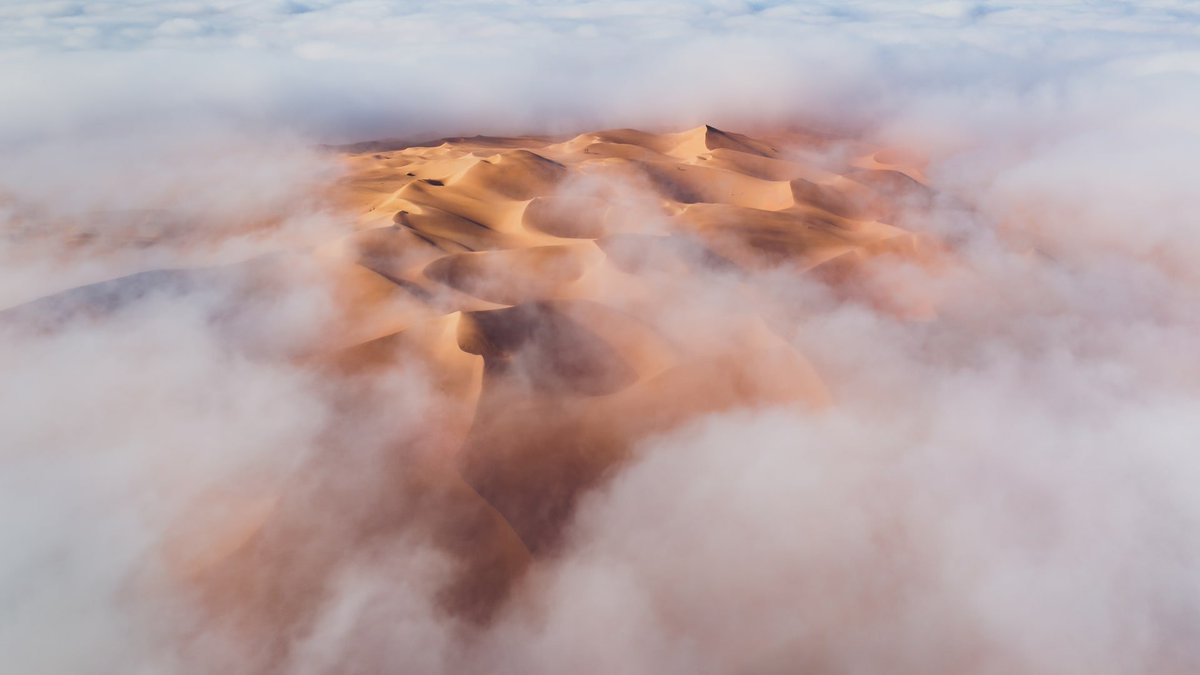 ALMISNID's tweet photo. 28. ما سبب تكون الضباب؟
A) تبخر قوي
B) تكاثف بخار الماء بالقرب من سطح الأرض
C) حرارة عالية
D) انخفاض الضغط