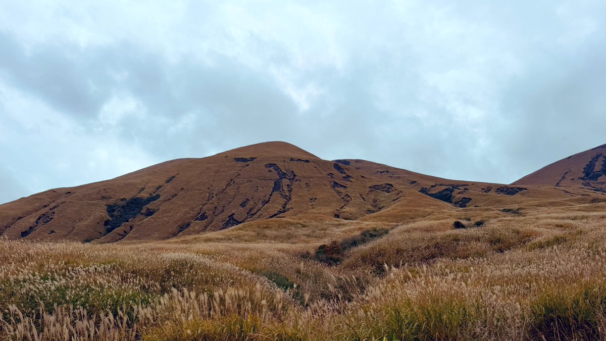 九州探訪の旅も無事終了
次は京都でも行こうか