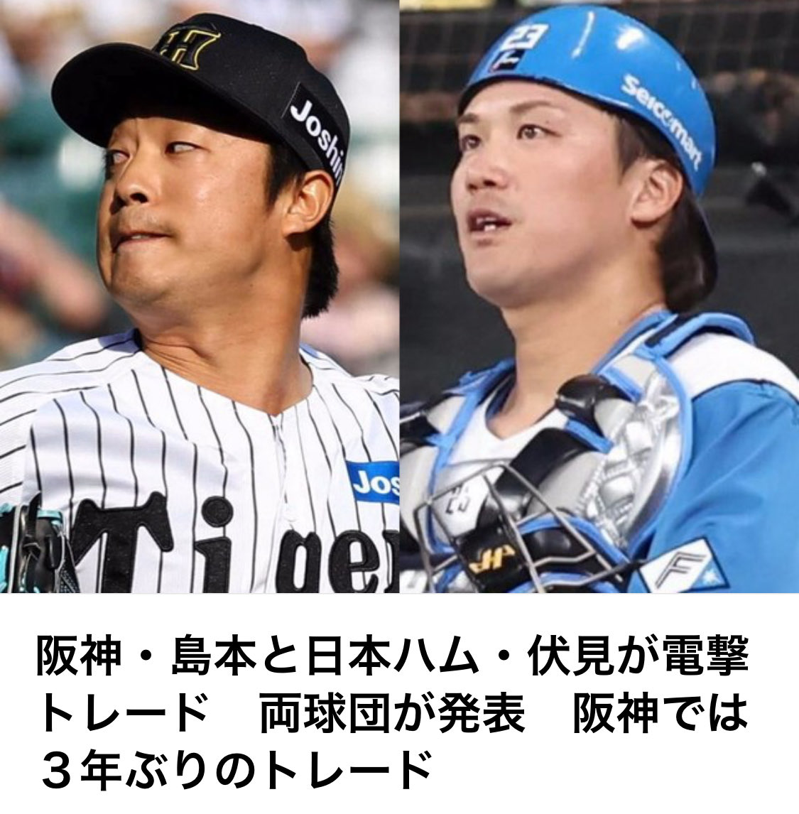 やっちゃん ビックリした🫢🫢🫢