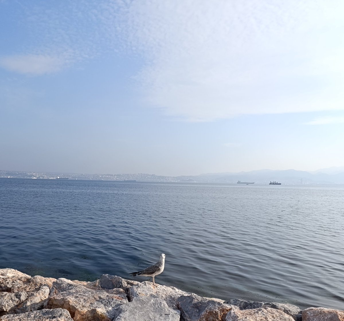 aydata3's tweet image. ～

Ne hoş, ey güzel Tanrım, ne hoş
İller, göller, kıtalar aşmak.
Ne hoş deniz deniz dolaşmak
Düşünceler gibi başıboş.

Versem kendimi bütün bütün
Bir yelkenli olup engine.
Kansam bir an güzelliğine
Kuşlar gibi serseri ömrün.

Orhan Veli Kanık