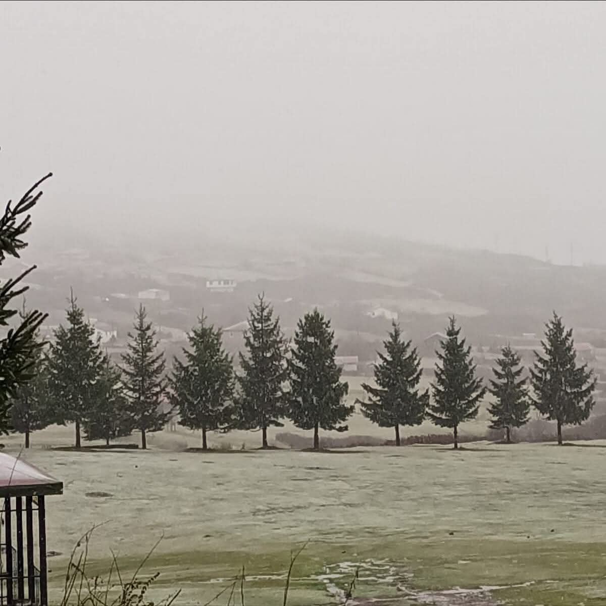 Anlık Korgan Obası