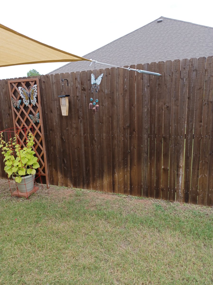 Yanis_Luv's tweet image. Fall winds are here! 🍂
DIY Tip of the day:
⚒️ Use solid anchor points
💨 Add a gentle slope so wind glides upward—no sag, no flap
What’s your backyard project this fall? 👇
#ShadeSail #OutdoorDIY #FallVibes