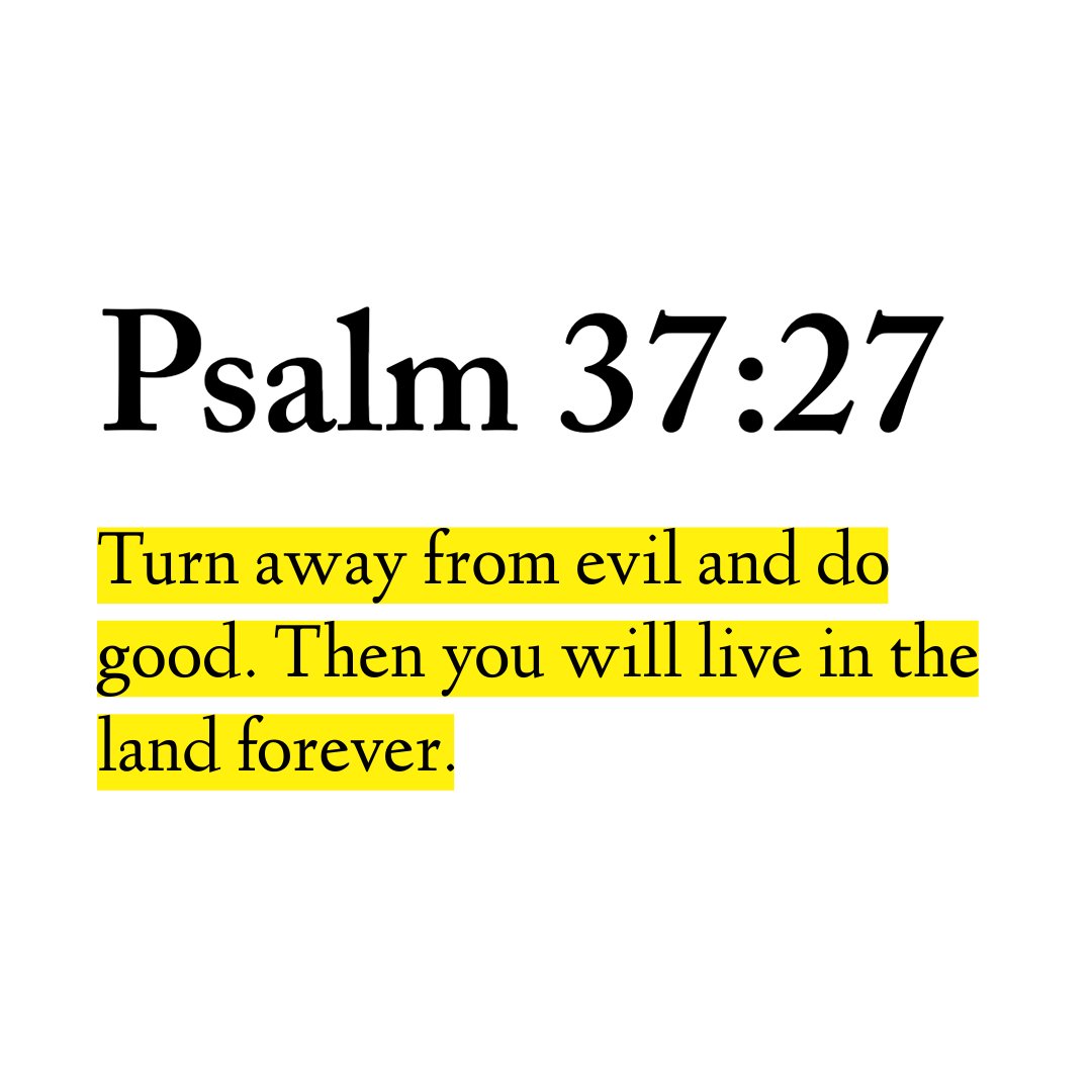 Holy Bible (@biblewisdom) on Twitter photo 