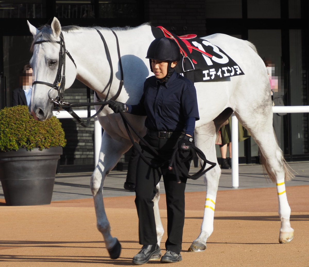 馬です et-coquine (@et_coquine0725) / Posts / X