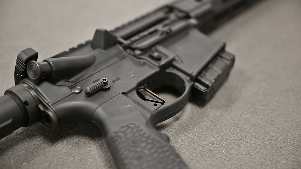 Enligt Lagrådet väntades Lagrådsremissen på den nya vapenlagen till i går (13 nov).

Undrar vad problemet är eftersom den redan försenats en gång och inte kom den här gången heller.
#SwedisgGunLobby #val2026