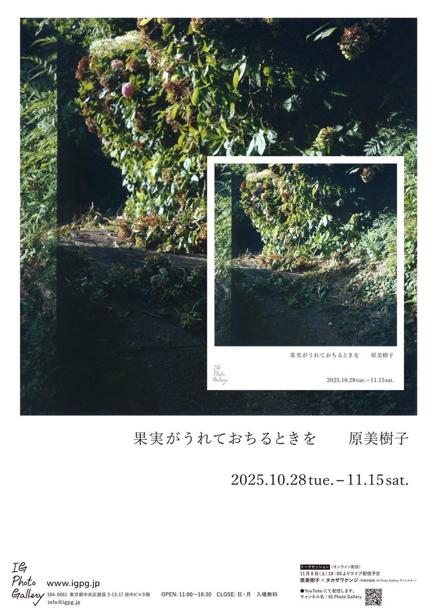 BookPhotoPRESS's tweet image. 原美樹子展
「果実がうれておちるときを」

何気ない一コマなのに妙に惹きつけられてしまい、じわじわと後から思い出してまた見たくなる写真でした。（K）
明日、2025.11.15(土)まで📸

🔸IG Photo Gallery（ 東京・東銀座）
igpg.jp/exhibition/har…

#BPP_design
