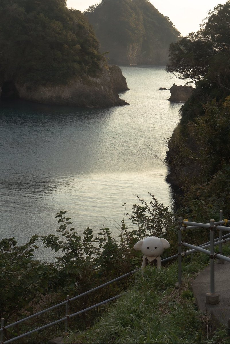 ツムギ (@aoki_mofu) on Twitter photo 