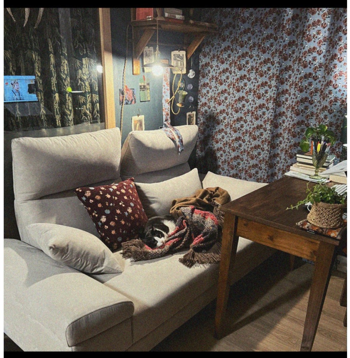 tired_kim's tweet photo. 최근발견한 예쁜 커튼 만드는 곳 무성화
사장님혼자하시는곳이라 오억년기다려야하지만
실물받아본순간 킹름다움에 기절하여 기다린시간을 잊게됨 https://t.co/319VMYlyHK