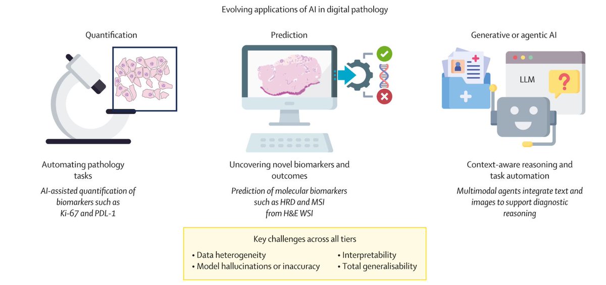 NEW Series paper: Application of artificial intelligence and digital tools in cancer pathology. <a href="/jnkath/">Jakob Nikolas Kather</a> 

Read it here: buff.ly/09Xy4m2