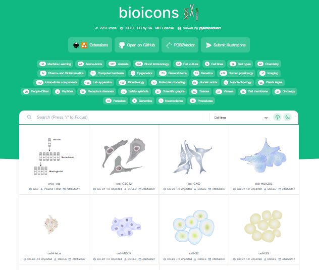 hope6mash's tweet photo. Biorender🧬
فيه رسومات جاهزة لكل شيء: خلايا، أنسجة، بروتينات، مسارات كل شيء تقريبًا مررة جميل.
scidraw🔎
هذا موقع إذا حابة تحطي رسمة لخطوات تجربة معملية:حقنة، أنابيب، فأر، طبق بتري وغيرها مثالي لو بتعملون برتوكول أو ملخص عملي.
bioicons🔬
مكتبة ضخمة من الرسومات العلمية.🤍 https://t.co/pTIkOUJtw2