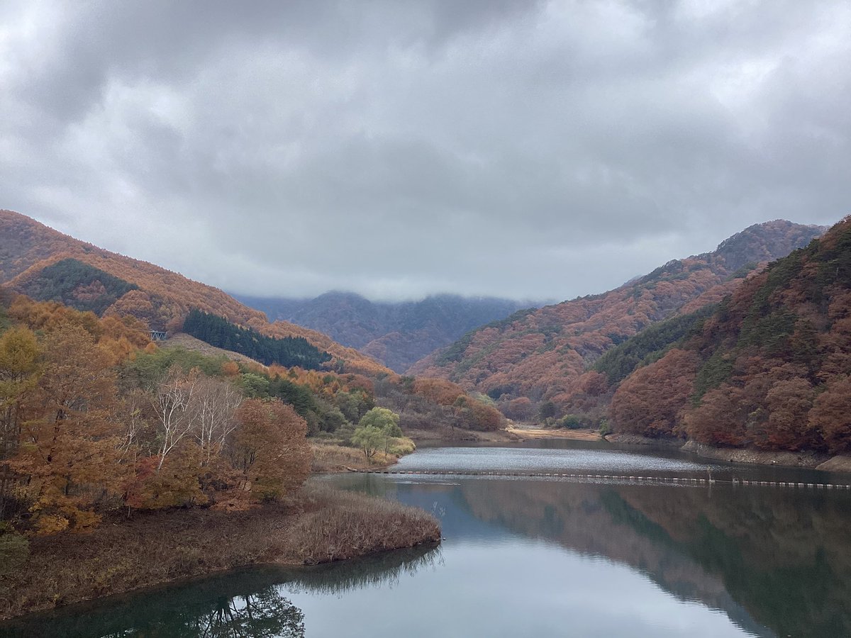 丸子の紅葉情報🍁

今週末もまだまだ見頃です！
今週末は晴れ予報。お散歩にいかがですか？

内村ダムだけとても寒そうな写真になってしまいました笑

撮影日:2025/11/14

1枚目から五台橋・薬師堂、岩谷堂、安良居神社、内村ダムの様子です。

#紅葉 #秋 #鹿教湯温泉 #上田 #上田市 #丸子