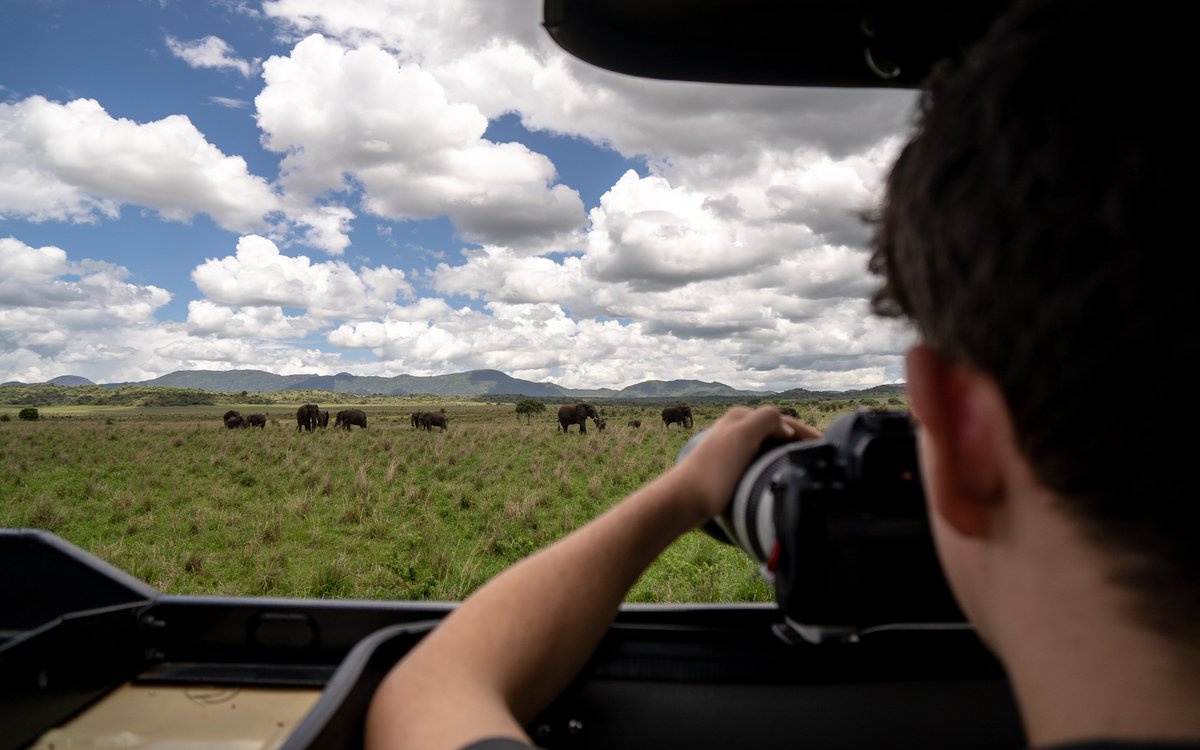 SafarisUganda's tweet image. Tip No 2
Respect the Wild. When you travel with #GreatLakesSafaris, you are a privileged guest in the animal&apos;s home. Always observe quietly, follow your professional guide&apos;s lead and help us preserve these incredible ecosystems for generations to come.
#ResponsibleTravel