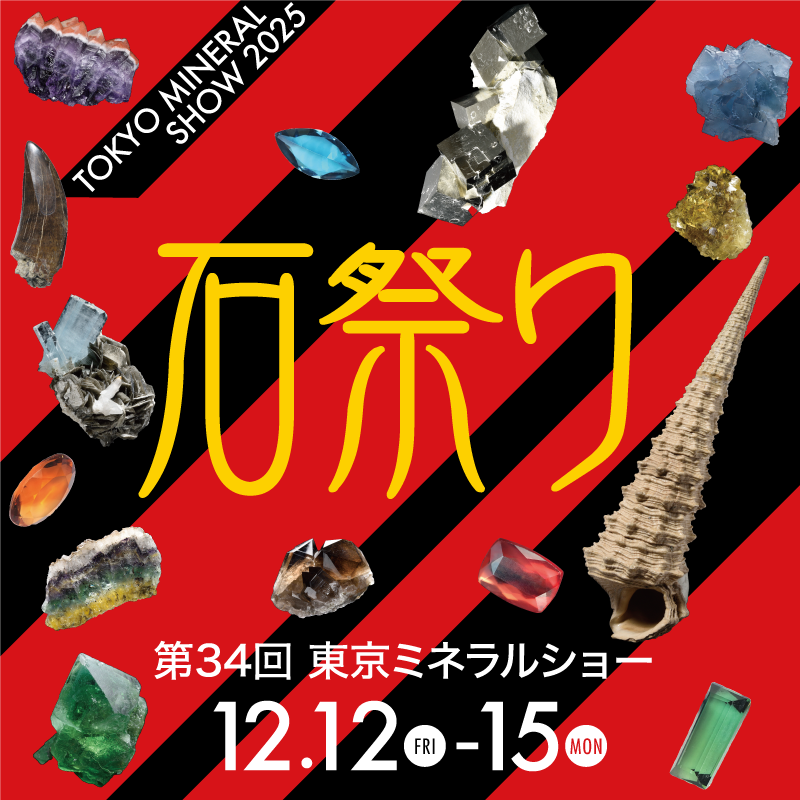 crazy__stone's tweet photo. 【出展情報】

■１１月２２日～２３日　Crazy Peony 珍道中
@PeonyCrystal1との合同展
■１１月２８日～１２月１５日　孔雀ノ移動雑貨店（ハンズ横浜）
@pfau_x 主催 
■１２月１２日～１５日　東京ミネラルショー
@PlaneyCo

※他、出展予定有。決まり次第アナウンスします https://t.co/EfH4lkqRdB