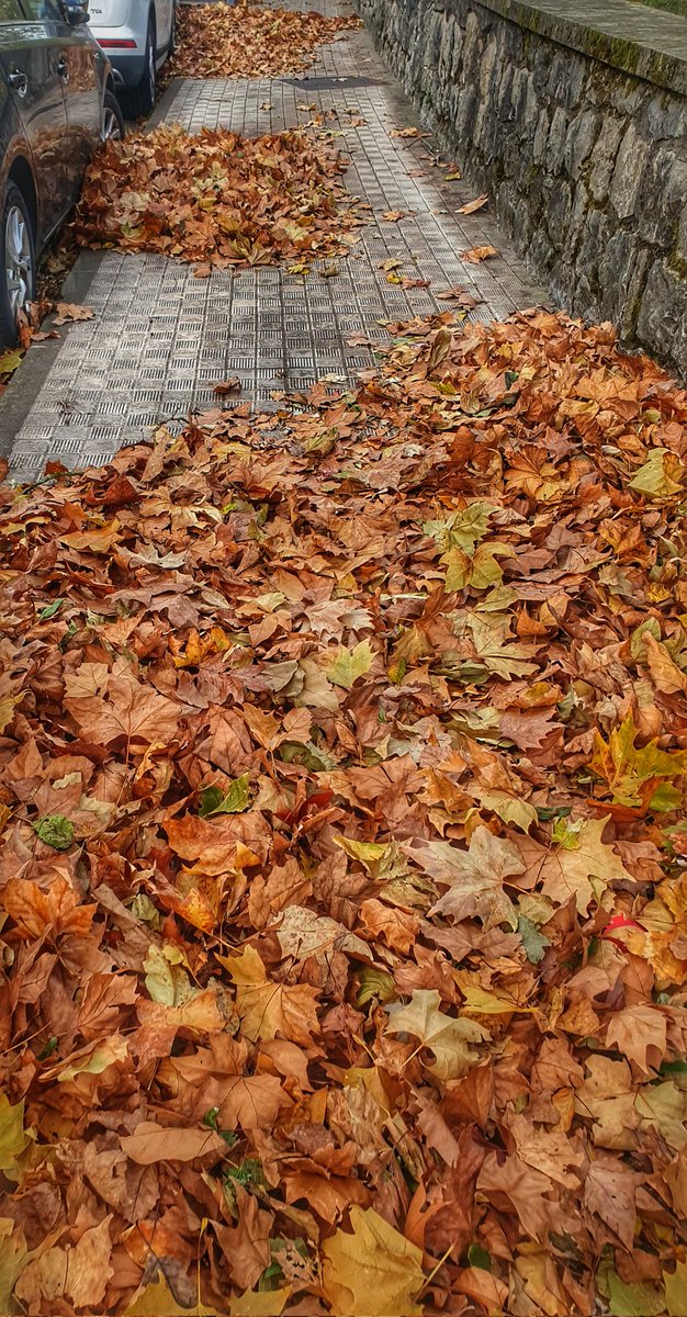 #hostoak Ordizian
#sasitxiotx 
#asteanbehin
<a href="/sasitxiotx/">Sasitxiotx</a>