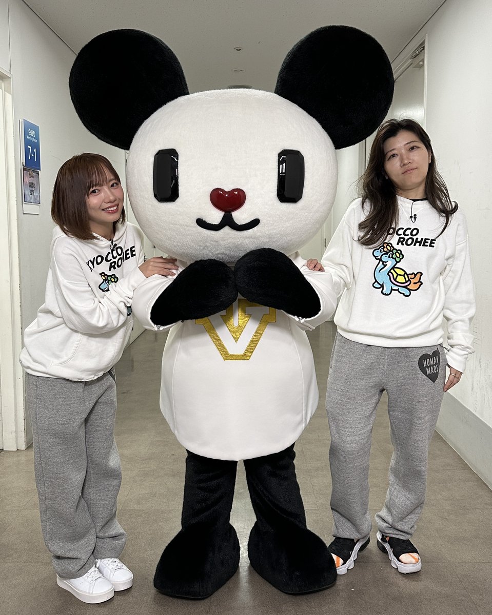 ROUND MOUNTAIN ゴーちゃんさま専用ページ ROUND MOUNTAIN ゴーちゃんさま専用ページ