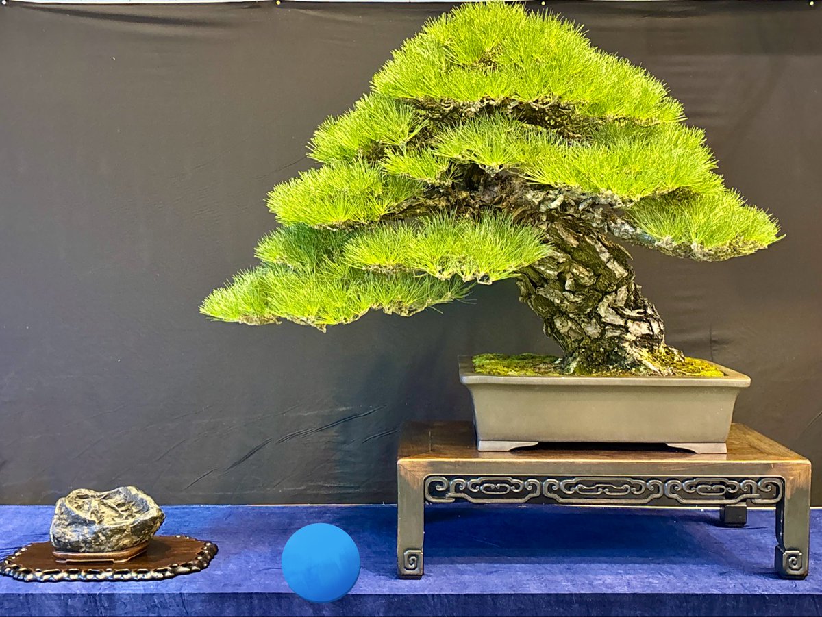 itoiuti's tweet photo. 第８８回 大雅展
 11/14(金)15(土)16(日)
 寄居町立総合体育館・アタゴ記念館 https://t.co/eqx9bMwGpP