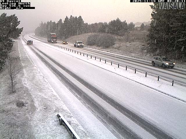 BEAR NW Trunk Roads tweet media