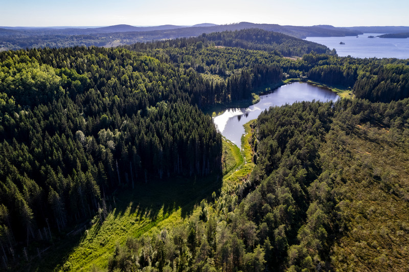 Stora Enso tweet media