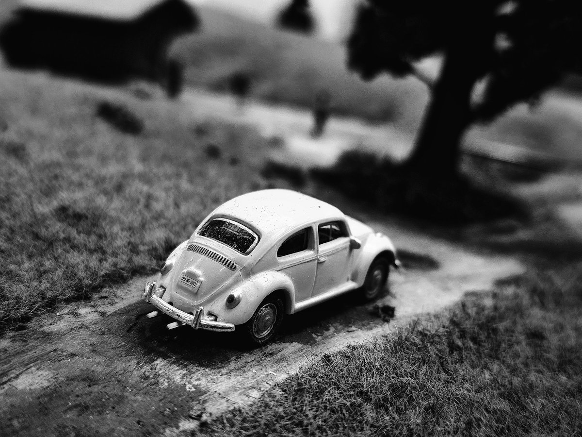 Drabbles153's tweet image. #NFTkaltenstein #kaltenstein #Modell #Monochrome #photograghy